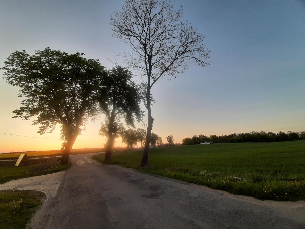 Noclegi Zdzislaw Sieradzki Zbiczno Kültér fotó